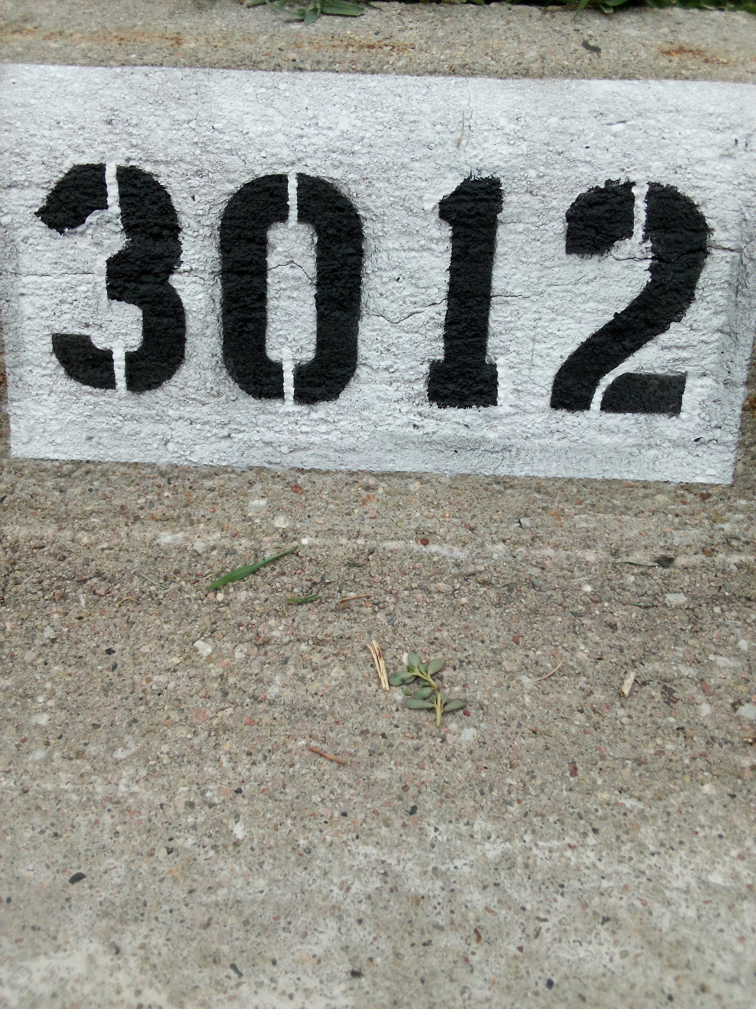 Curb Work 4
